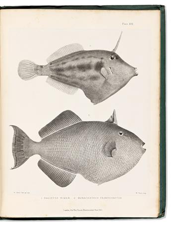 (FISH.) Lieut. Colonel R. Lambert Playfair; and Albert C.L.G. Gunther. The Fishes of Zanzibar.